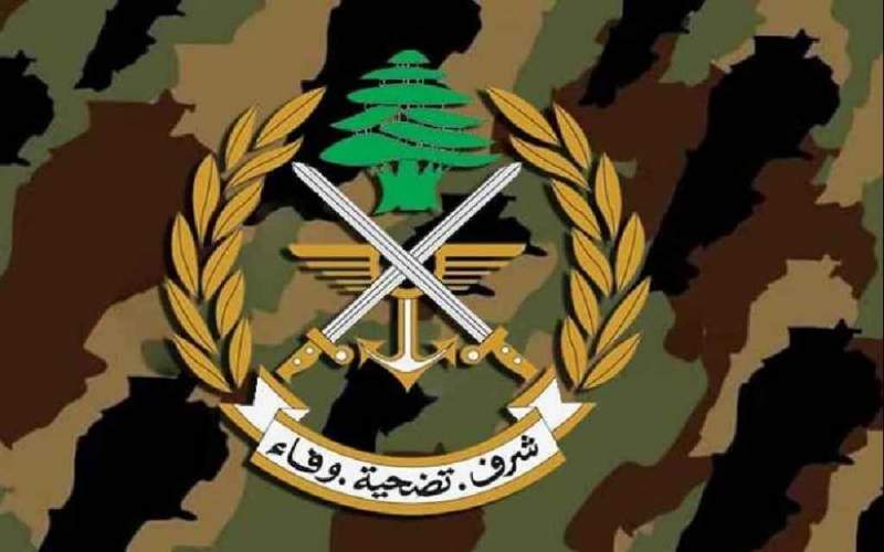 الجيش: نواصل حفظ الأمن (فيديو)